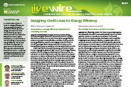 Designing Credit Lines for Energy Efficiency Designing Credit Lines for Energy Efficiency