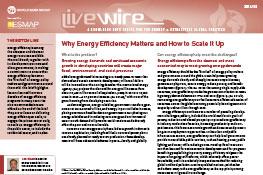Why Energy Efficiency Matters and How to Scale It Up Why Energy Efficiency Matters and How to Scale It Up